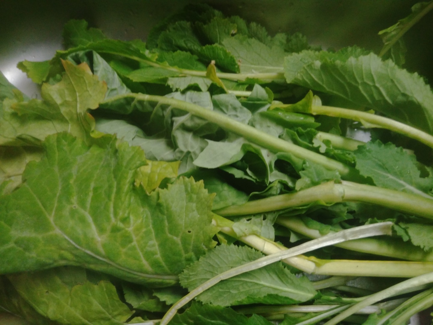 季節の旬野菜の2月上旬 小蕪葉をお浸しにして食事する味は 無農薬 自然に近づけ健康的に新鮮な野菜を育てる