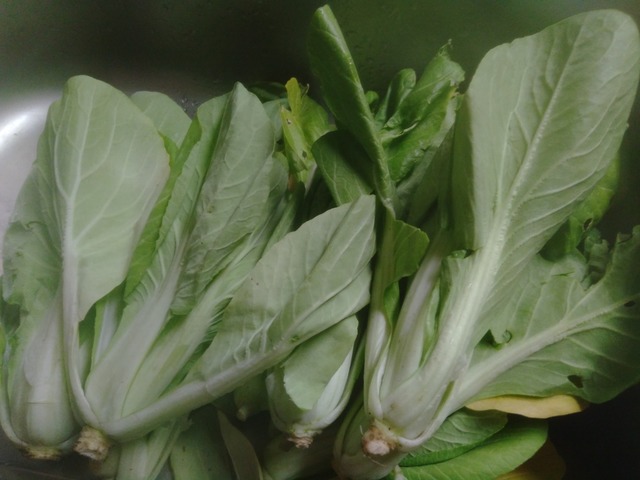 菜園で収穫した大阪しろ菜鍋で蒸してお浸し料理で食事した味 病気滅し健康的な高栄養価野菜を自然力で育てる 水玄和鹽